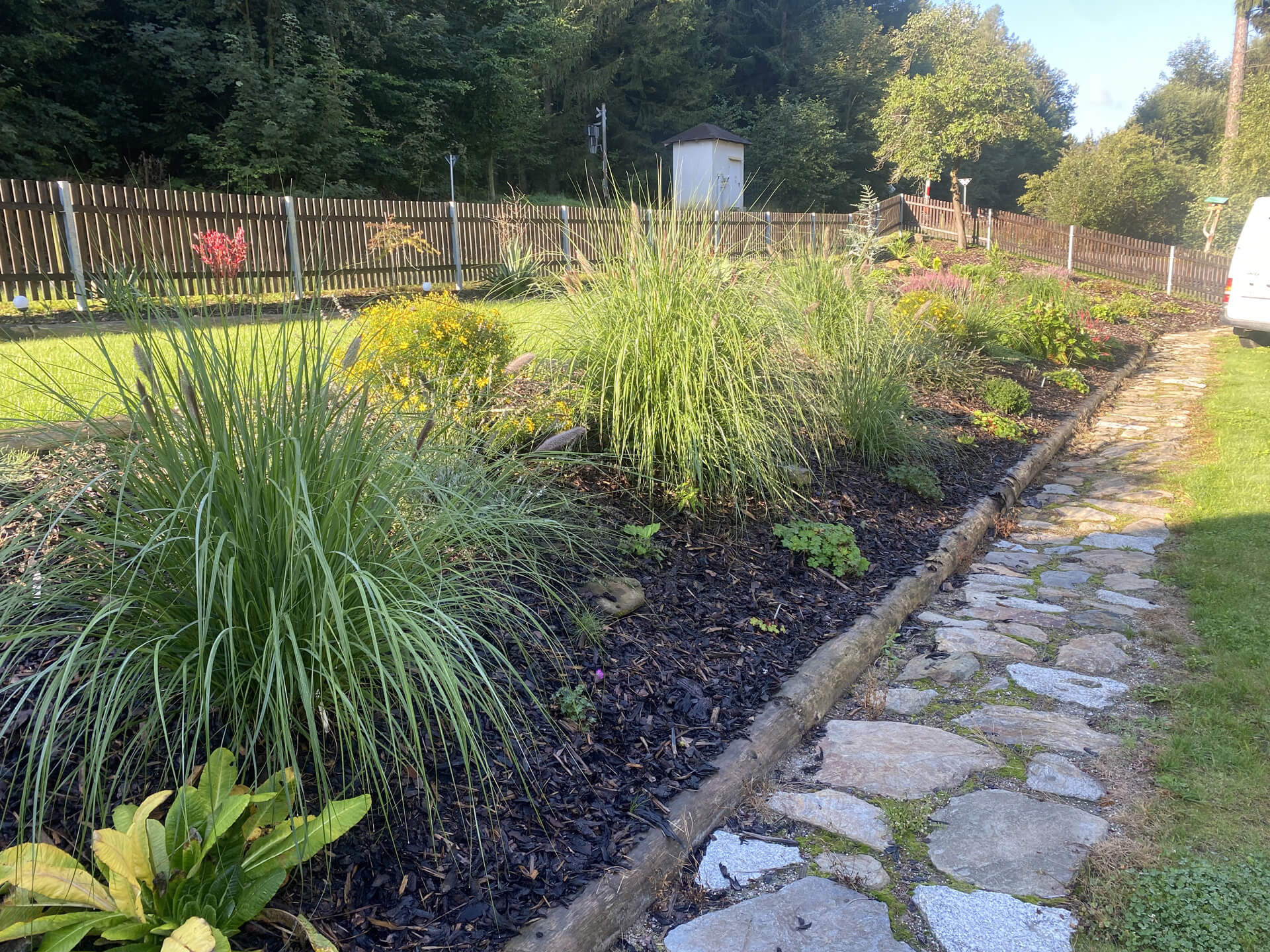 Zahrada s vysázenými okrasnými keři